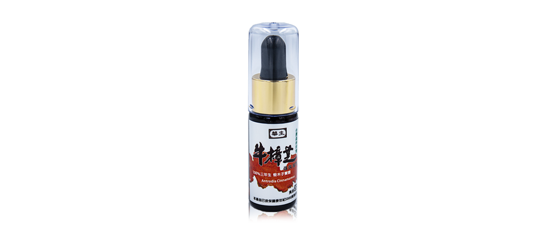 台灣野生牛樟芝